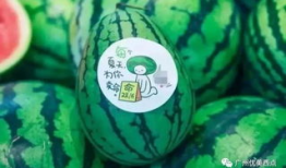 古茗吃瓜最新爆料,揭秘娱乐圈最新爆料背后的真相